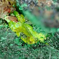 Marthozite