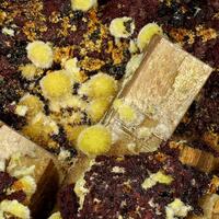 Arsenuranospathite Uranotungstite Bergenite & Uranophane