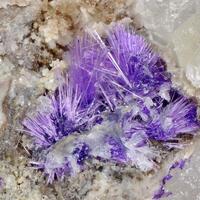 Elyite