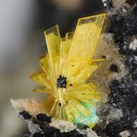 Walpurgite