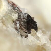 Tantalowodginite