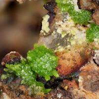 Emmonsite & Schmitterite
