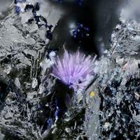 Elyite & Hydrocerussite
