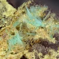 Goudeyite Cerianite-(Ce) & Rhabdophane-(Ce)