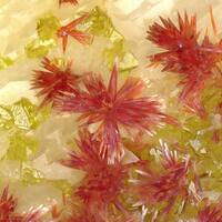 Carminite & Segnitite