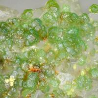 Hidalgoite