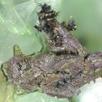Bromargyrite