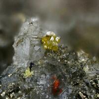 Native Selenium & Pucherite
