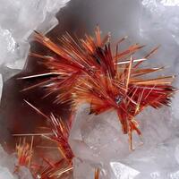 Carminite