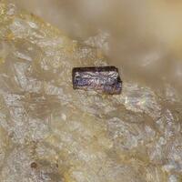 Brendelite