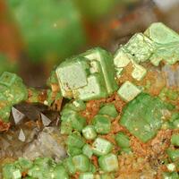 Metatorbernite & Meta-autunite