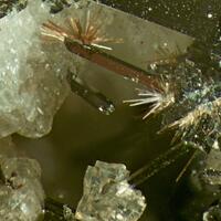 Lorenzenite On Amphibole With Nenadkevichite & Gaidonnayite