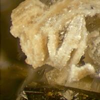 Fluorapatite On Siderite Psm With Albite & Aegirine