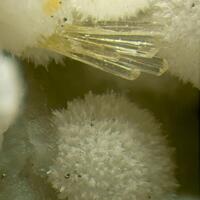 Baryte Strontianite & Smoky Quartz On Calcite