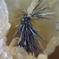 Millerite