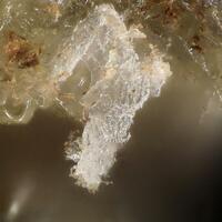 Freitalite