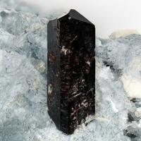 Neptunite