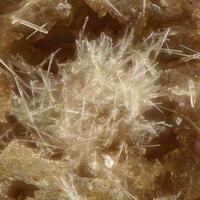 Chlorophoenicite