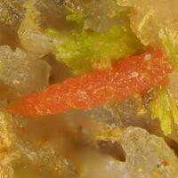 Wulfenite