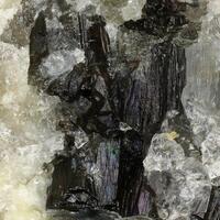 Oxy-schorl & Oxy-dravite