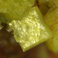 Autunite