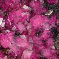 Spherocobaltite & Anorthoroselite