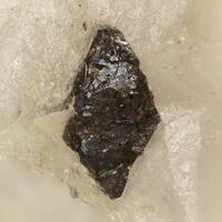 Titanowodginite