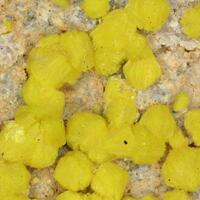 Carnotite