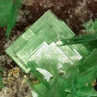 Zeunerite