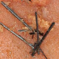 Groutite