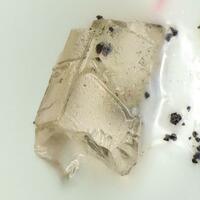 Magnesio-fluoro-hornblende
