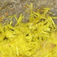 Haynesite
