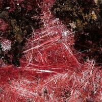 Chalcotrichite