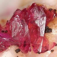 Wendwilsonite