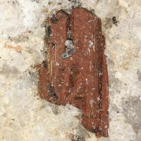 Ferro-barroisite