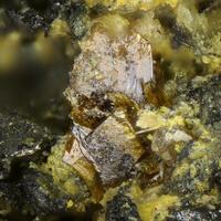 A Matthies Minerals: 13 Apr - 20 Apr 2025