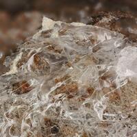 Branchite