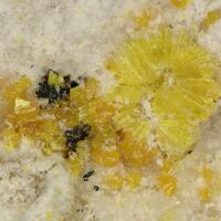 Weeksite & Carnotite