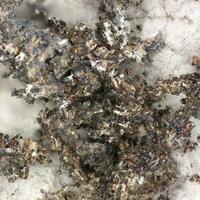 Allargentum