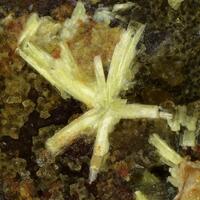 Walpurgite
