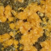 Deliensite