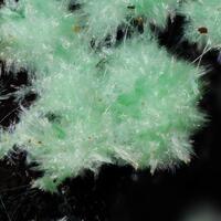 Strashimirite