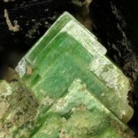 Autunite & Torbernite