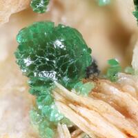 Adamite