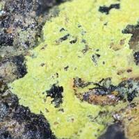 Francevillite & Uraninite
