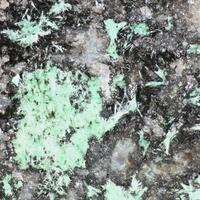 Agardite-(La)