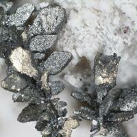 Native Silver