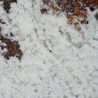 Vashegyite