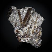 Astrophyllite