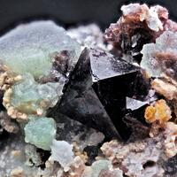 Spinel & Forsterite